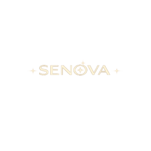 DASEN — оптовый поставщик развивающих и звуковых игрушек Logo